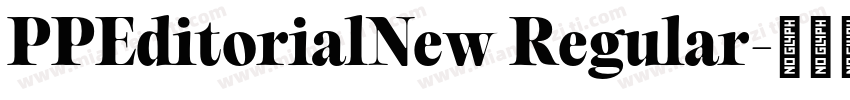 PPEditorialNew Regular字体转换